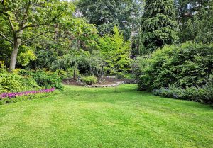 Optimiser l'expérience du jardin à Montlevon